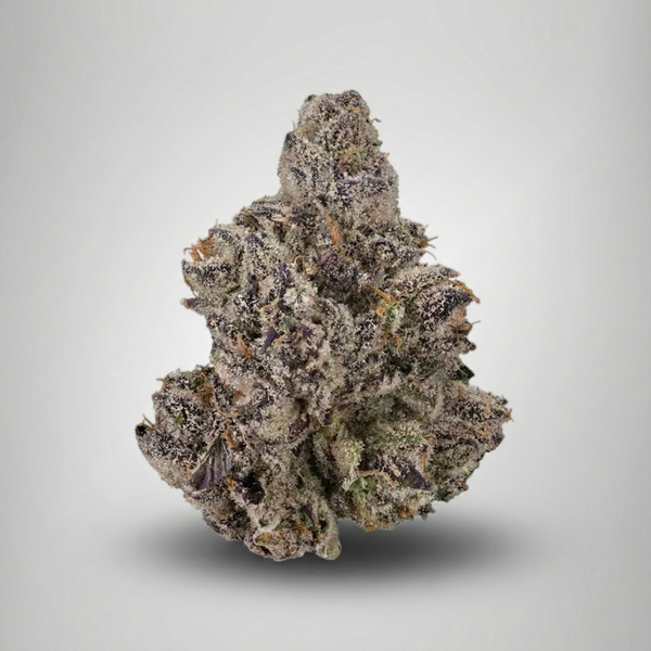 Close-up of a cannabis bud on a gray background Official Farmacy
