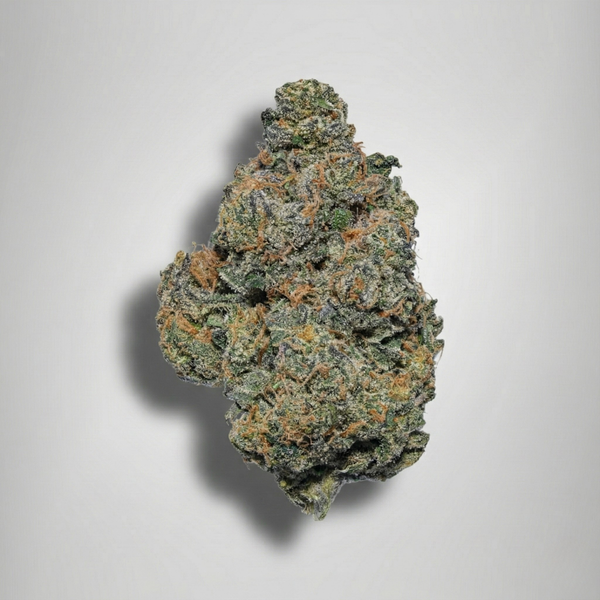 High quality green and orange cannabis buds on a gray background. Official Farmacy