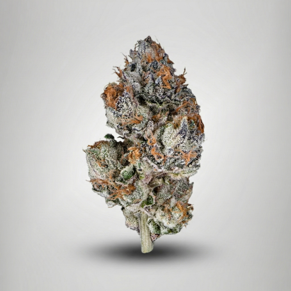 Close-up of a cannabis bud on a light gray background Official Farmacy