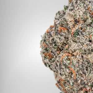 Close-up of a textured surface with orange and green trichomes on a white background. Official Farmacy